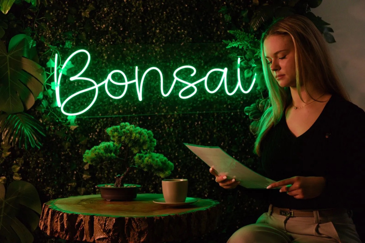 Bonsai salon reception with the neon sign and a bonsai tree